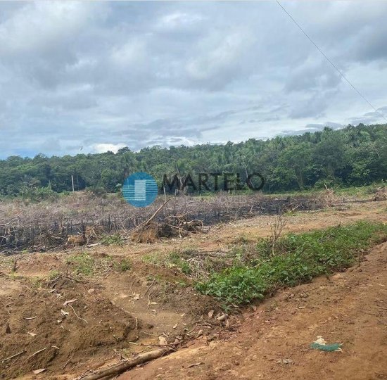 terreno-venda-vendo-terreno-em-iranduba-am-situado-na-rodovia-manoel-urbano-loteamento-parque-minas-gerais-com-área-de-28-396-43-m2-261414